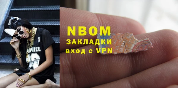гидра Алексин
