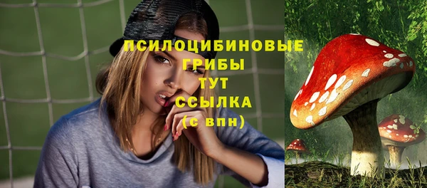 соль ск Алексеевка