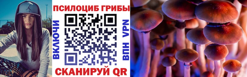 Псилоцибиновые грибы мухоморы Андреаполь